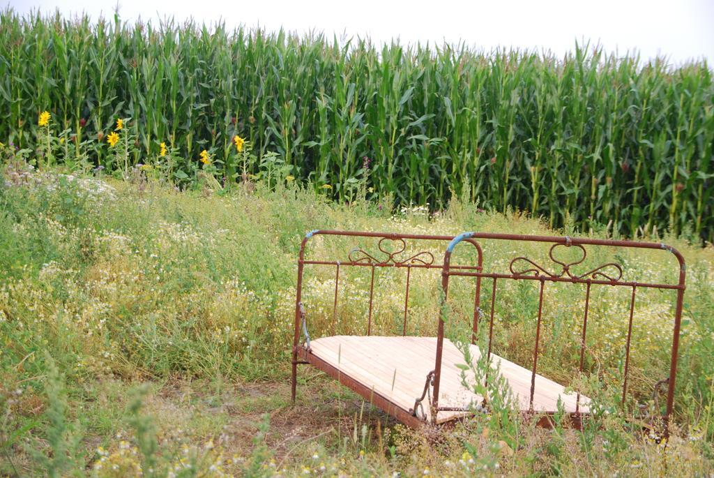 ReußenkögeGesundheitshof Denkerアパートメント エクステリア 写真